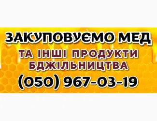 Зображення для оголошення Закуповуємо мед цілорічно від 500 КГ. Самовивіз нашим транспортом