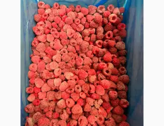 Продам малину 90/10