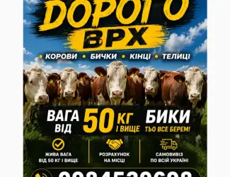 Зображення для оголошення Закупляемо ВРХ дорого коров