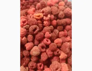 Зображення для оголошення Продам малину заморожену 80/20