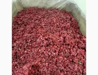 Зображення для оголошення Куплю малину гриз від 15 тонн