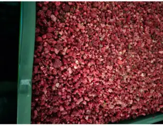 Зображення для оголошення Продам малину
