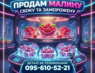 Зображення для оголошення Продам малину свіжу та заморожену