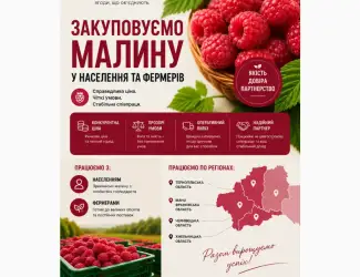 Закупляємо свіжу малину сезон 2026
