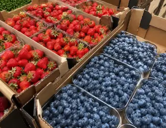 Зображення для оголошення Продаємо свіжу полуницю та свіжу лохину