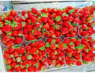 Зображення для оголошення Продам Полуницю