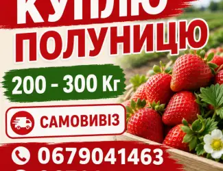 Зображення для оголошення Куплю полуницю на постійній основі 200-600 кг