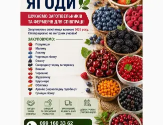 Закуповуємо ягоди