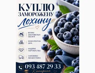 Зображення для оголошення Куплю лохину