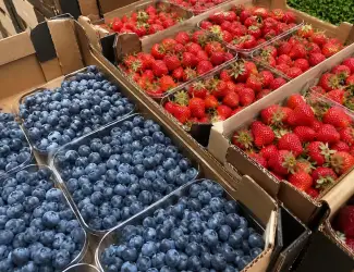 Зображення для оголошення Продаж свіжої ягоди