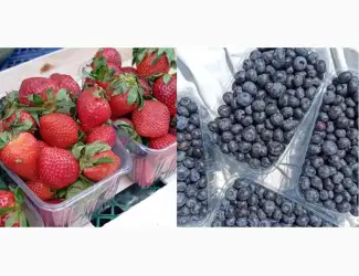 Зображення для оголошення Продам свіжу полуницю та лохину