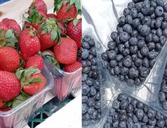 Зображення для оголошення Продам свіжу полуницю та лохину. Продаж оптом та в об’ємі