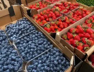 Зображення для оголошення Свіжа полуниця та лохина на продаж