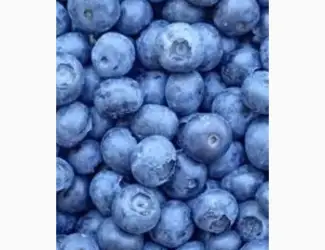 Зображення для оголошення Продам лохину