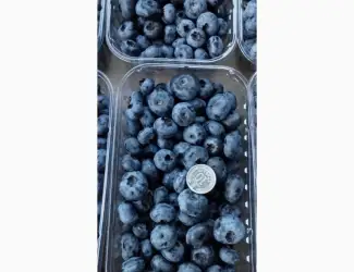 Продам Лохина ягоди