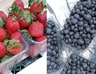 Зображення для оголошення Продаж свіжої полуниці та лохини