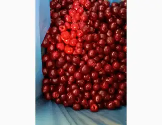 Зображення для оголошення Вишня шокова заморозка продам