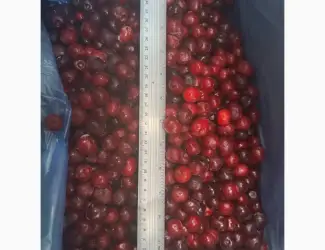 Продам вишню заморожену