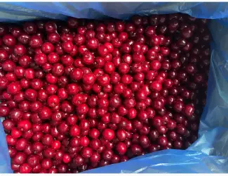 Зображення для оголошення Продам свіжоморожену вишню