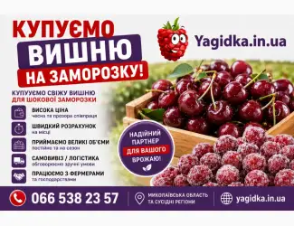 Зображення для оголошення Куплю вишню