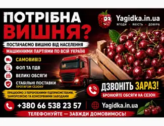 Зображення для оголошення Продам Вишню