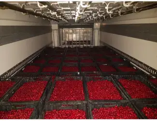 Зображення для оголошення Продам ВИШНЮ заморожену з кісточкой