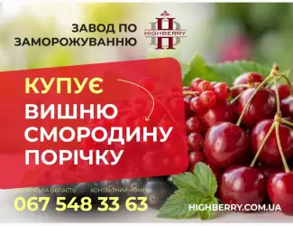 Зображення для оголошення Купуємо ВИШНЮ