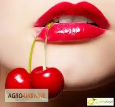 Зображення для оголошення Вишня куплю