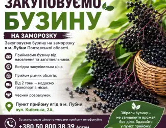 Зображення для оголошення Купуємо бузину на заморозку