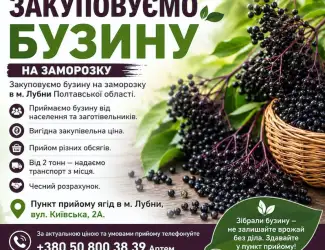 Зображення для оголошення Куплю бузину на заморозку