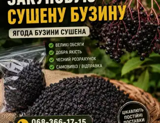 Зображення для оголошення Куплю сушену бузину
