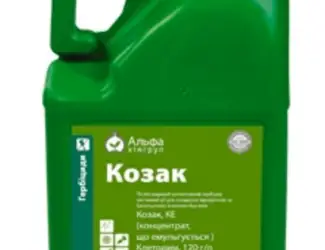 Гребицид Козак