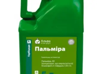 Гребицид Пальмира