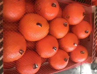 Зображення для оголошення Продаем апельсины