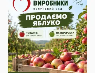 Продаємо яблуко товарне та на переробку Черкаська обл