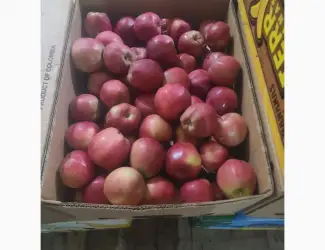 Продаж яблук різних сортів