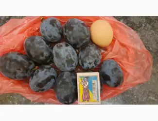 Зображення для оголошення Продам сливи