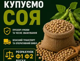 Зображення для оголошення Купуємо Сою