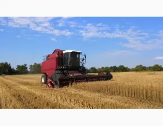 Зображення для оголошення Послуги комбайна по збиранню сої