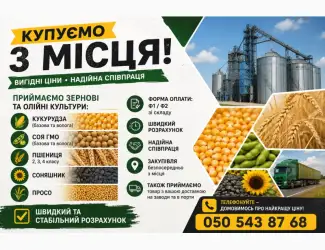 Зображення для оголошення Закупівля зернових та олійних культур