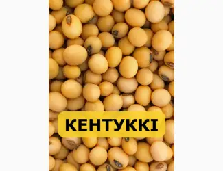 Насіння сої Кентуккі