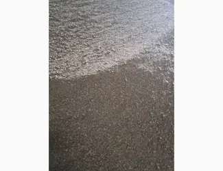 Зображення для оголошення Продам шрот соняшниковий