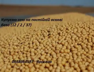 КУПУЄМО СОЮ на постійній основі (база)