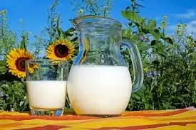 Зображення для оголошення Продам свіже коров'яче молоко від фермера