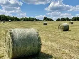 Зображення для оголошення Продам сіно у тюках
