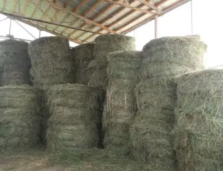Зображення для оголошення Продам сіно 2025 року врожаю