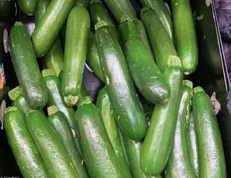 Зображення для оголошення Продам кабачок свіжий оптом Вінницька обл сезонні партії від господарства