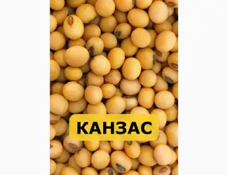Насіння сої Канзас