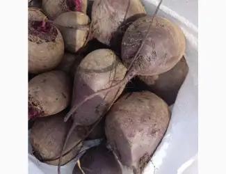 Зображення для оголошення Продам буряк