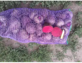 Продам буряк